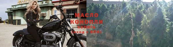 крисы Кукмор