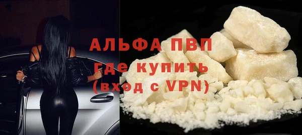 PSILOCYBIN Ладушкин
