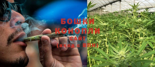 PSILOCYBIN Ладушкин