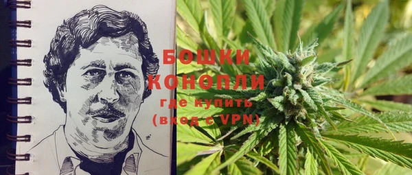 PSILOCYBIN Ладушкин