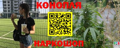 a pvp Гусь-Хрустальный