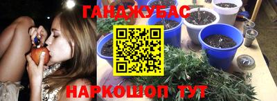 твердый Будённовск