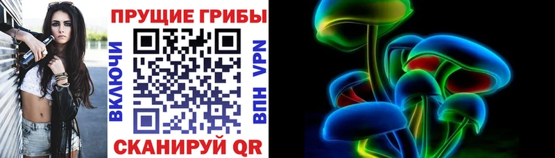 Галлюциногенные грибы Psilocybine cubensis  Минусинск 